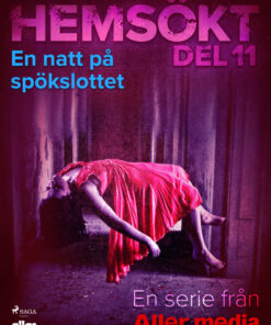 En natt på spökslottet (E-bog)