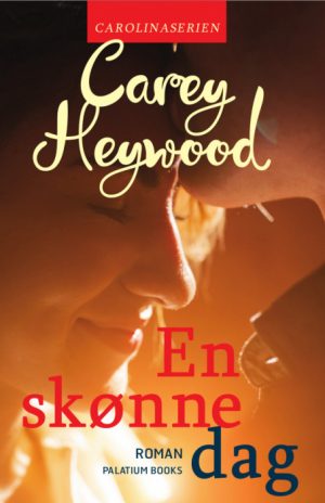 En skønne dag (Bog)