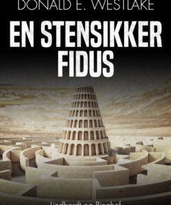 En stensikker fidus (E-bog)