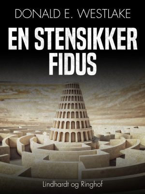 En stensikker fidus (E-bog)