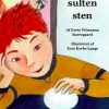 En sulten sten (E-bog)