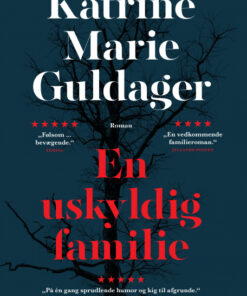 En uskyldig familie (Bog)