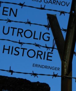 En utrolig historie (E-bog)