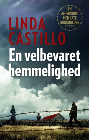 En velbevaret hemmelighed (E-bog)