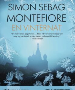 En vinternat (Lydbog)