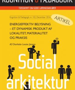 Energieffektiv belysning (E-bog)