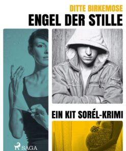 Engel der Stille (E-bog)
