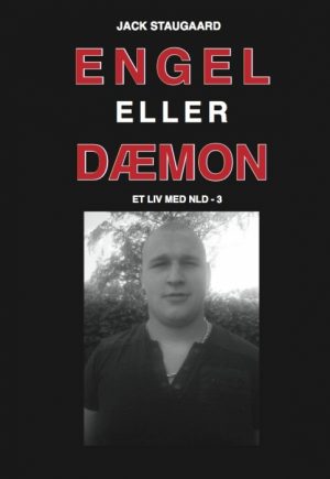 Engel eller Dæmon (Bog)