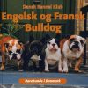 Engelsk og fransk bulldog (Bog)