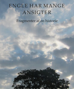 Engle har mange ansigter (Bog)