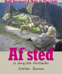 Enke på Harley (E-bog)