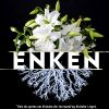Enken - Fiona Barton - Bog