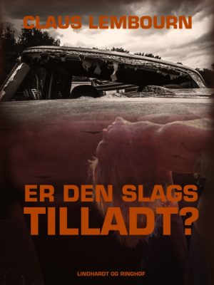 Er den slags tilladt? (E-bog)