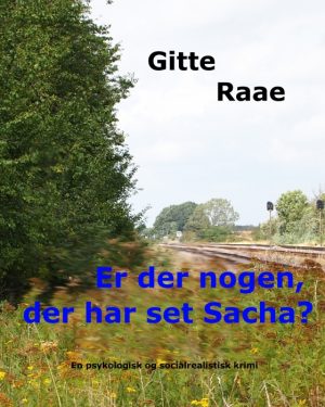 Er der nogen, der har set Sacha? (E-bog)