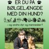 Er du på bølgelængde med din hund? (Bog)