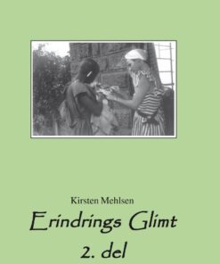 Erindrings Glimt (Bog)