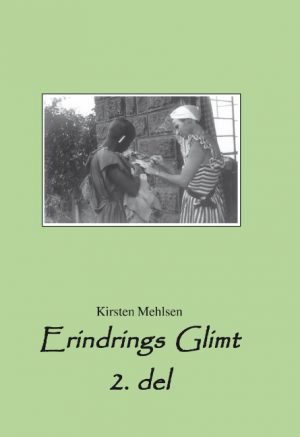 Erindrings Glimt (Bog)