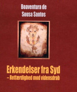 Erkendelder fra syd (Bog)