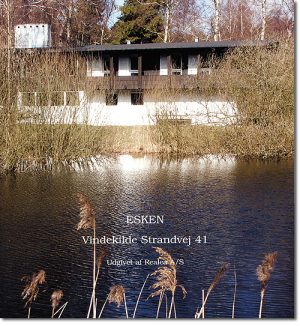 Esken (Bog)