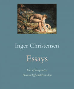 Essays. Hemmelighedstilstanden / Del af labyrinten (Bog)
