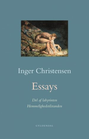 Essays. Hemmelighedstilstanden / Del af labyrinten (Bog)