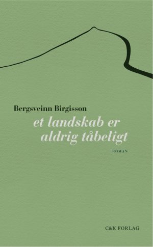 Et Landskab Er Aldrig Tåbeligt - Bergsveinn Birgisson - Bog