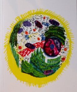 Et Lille Kammer - Signe Schmidt Kjølner Hansen - Bog