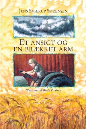 Et ansigt og en brækket arm (E-bog)