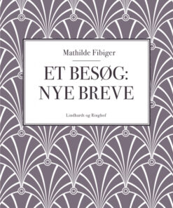 Et besøg: Nye breve (E-bog)