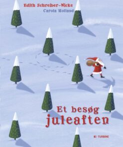 Et besøg juleaften (Bog)