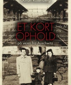 Et kort ophold på vejen fra Auschwitz (E-bog)