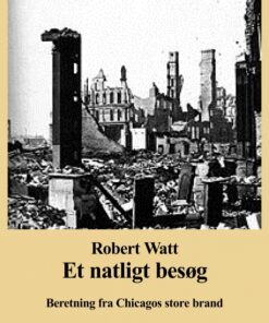 Et natligt besøg (E-bog)