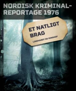 Et natligt brag (E-bog)