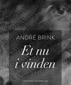 Et nu i vinden (Bog)