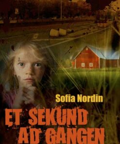 Et sekund ad gangen (Bog)