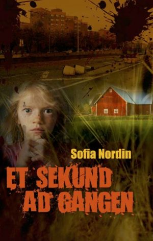 Et sekund ad gangen (Bog)