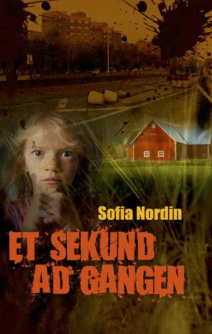 Et sekund ad gangen (E-bog)