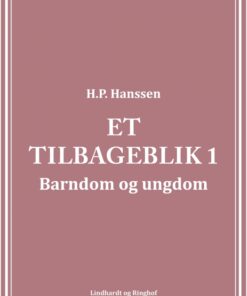 Et tilbageblik 1 (Bog)