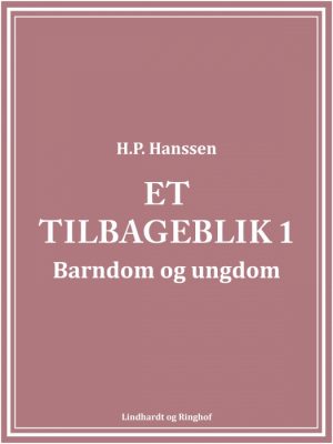 Et tilbageblik 1 (E-bog)