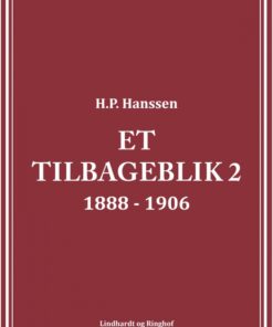Et tilbageblik 2 (E-bog)