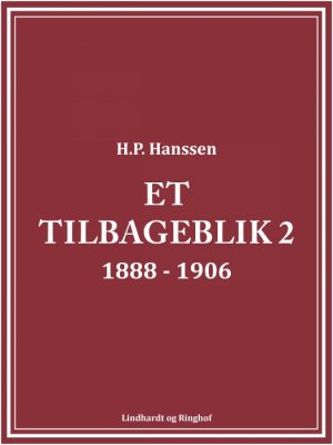Et tilbageblik 2 (E-bog)