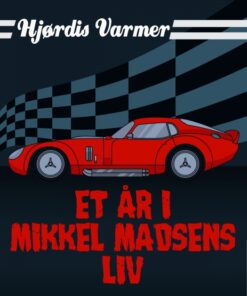 Et år i Mikkel Madsens liv (E-bog)
