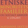 Etniske minoritetsfamilier og socialt arbejde (Bog)