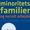Etniske minoritetsfamilier og socialt arbejde (E-bog)