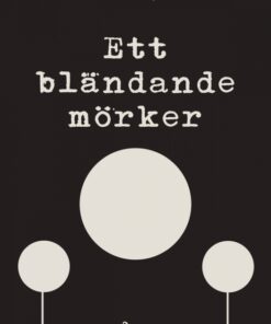 Ett bländande mörker (E-bog)