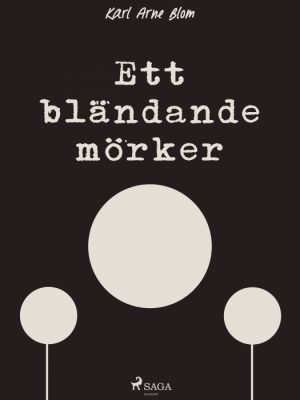 Ett bländande mörker (E-bog)