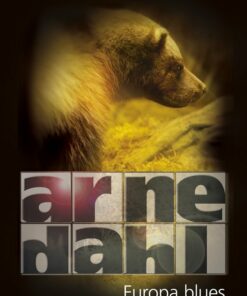 Europa Blues - Arne Dahl - Bog