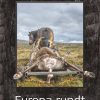 Europa Rundt - Michael Sand - Bog