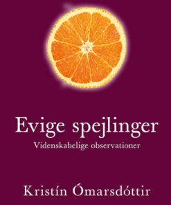 Evige spejlinger (Bog)
