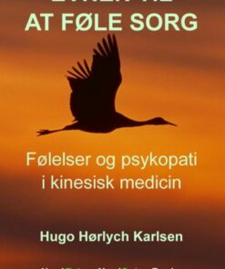 Evnen til at føle sorg (E-bog)